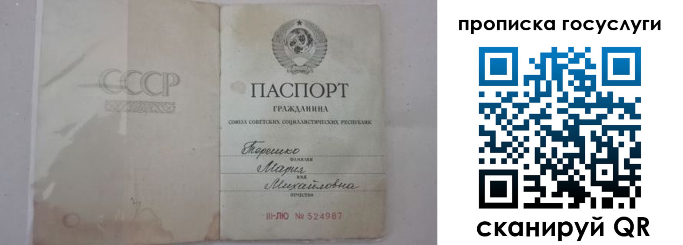 прописка ребенка в Шилке